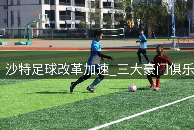 沙特足球改革加速 三大豪门俱乐部完成私有化