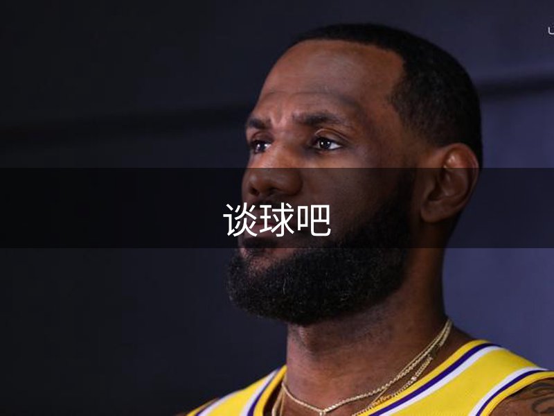 网站概况